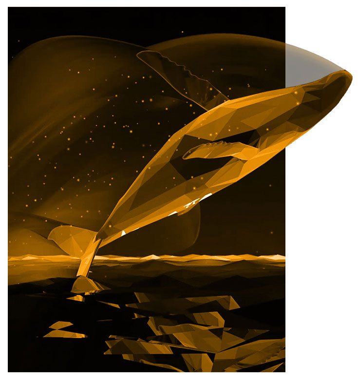 Neden Whales Radar?