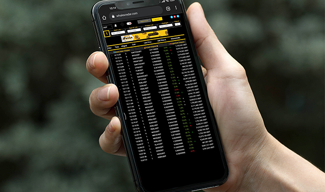 Whales Radar